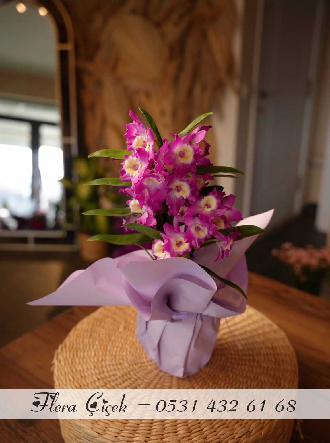 Dendrobium